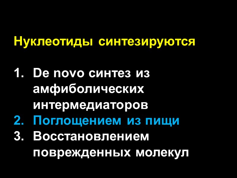 Нуклеотиды синтезируются by  De novo синтез из амфиболических интермедиаторов Поглощением из пищи Восстановлением